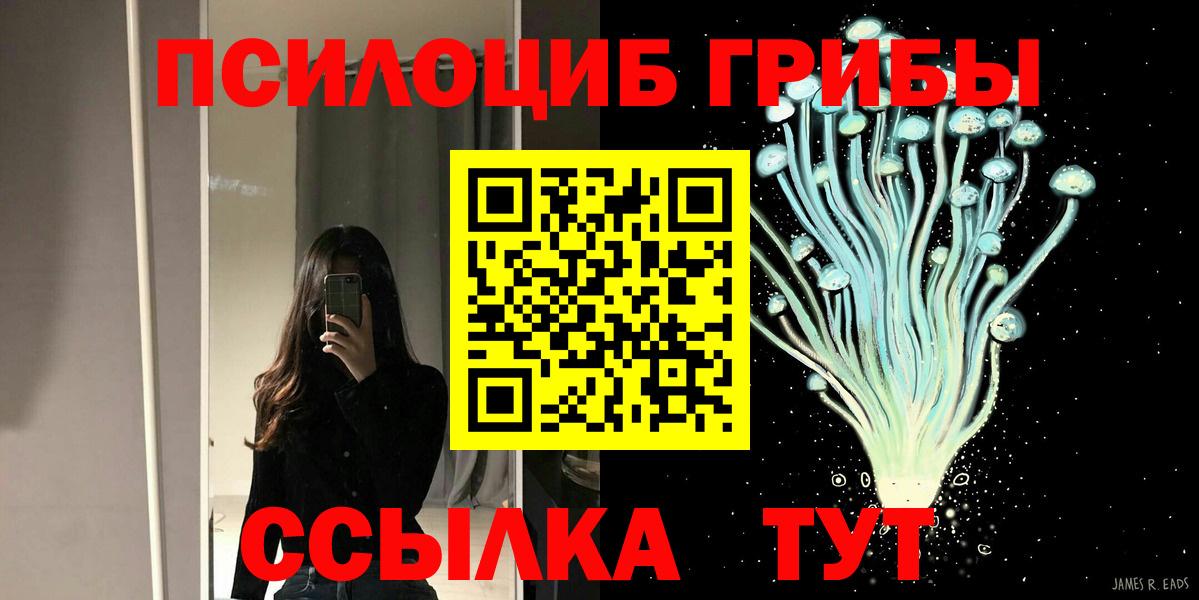 Кимры  Псилоцибиновые грибы Cubensis  Вход с VPN 